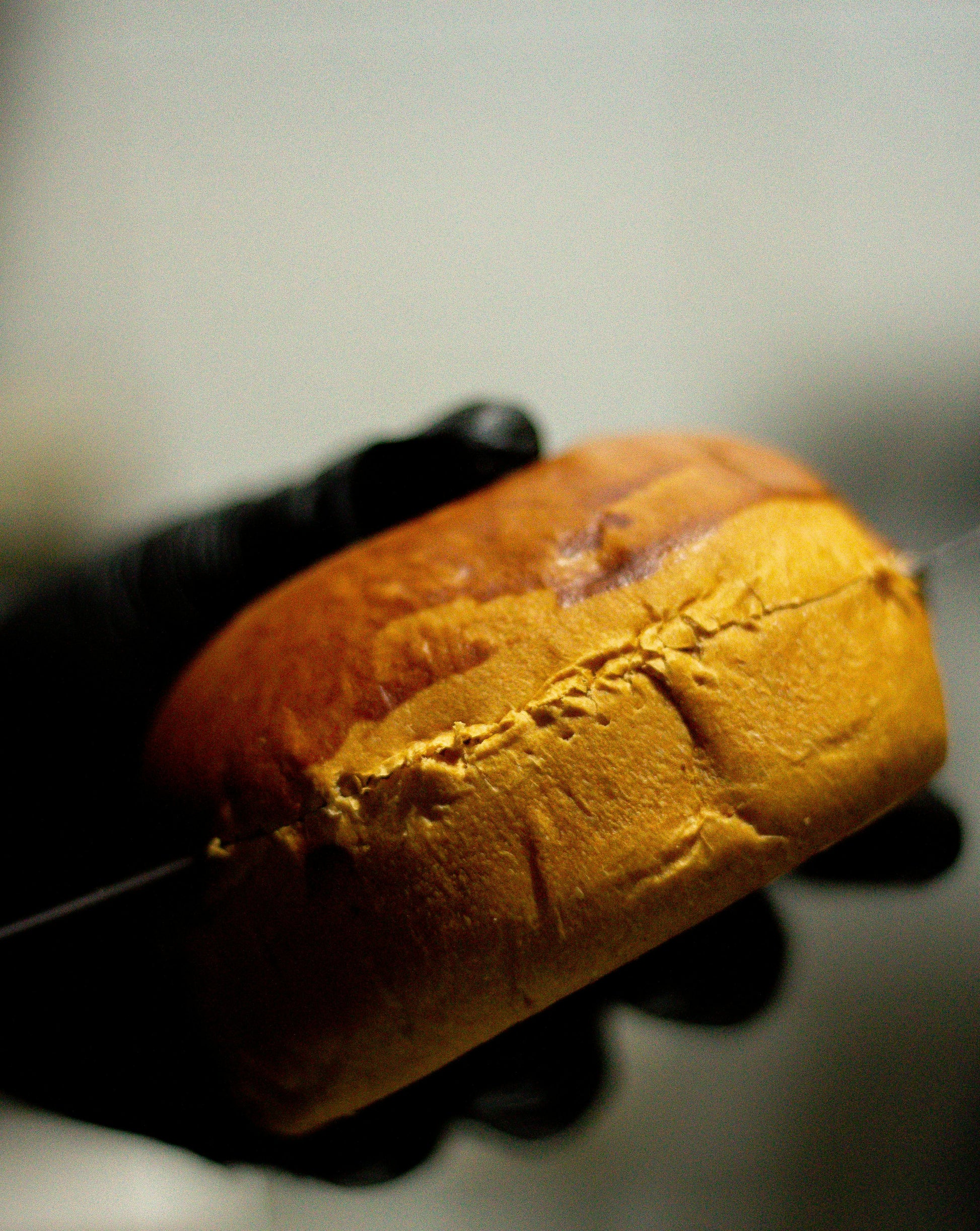 Sandwich Buns 1